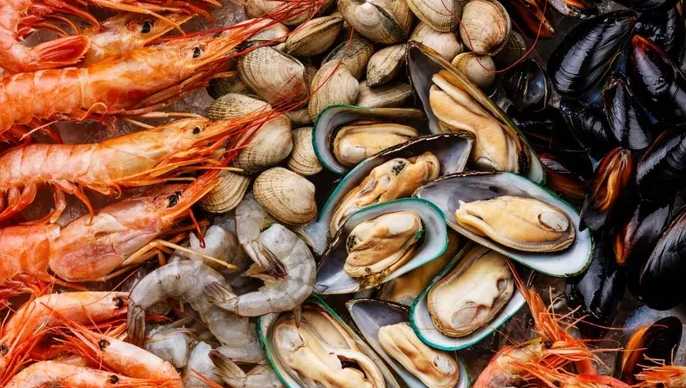 Mamapanda Kitchen: Santapan Ikan Segar di Pesisir Cilacap yang Bikin Nagih